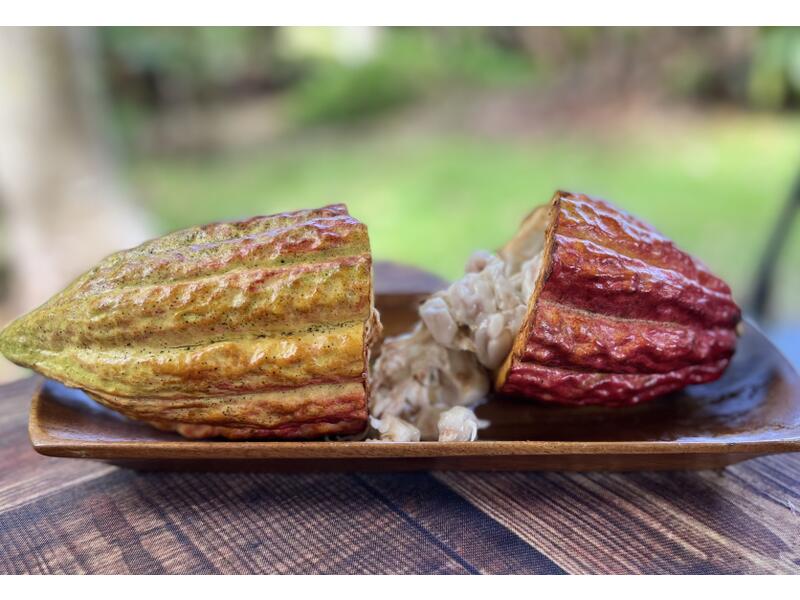 Be:First VIP特典　ホノルル TRADER AKIHABARA | ✓Claynel Lycoris Recoil Takina Inoue